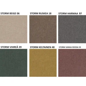 Storm kollaasi 21.3.2025